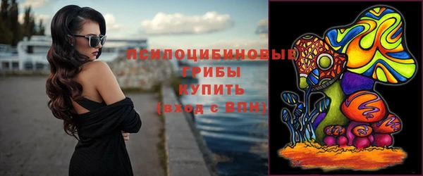 мдпв Горнозаводск