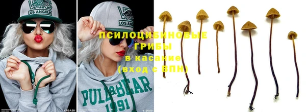 мдпв Горнозаводск