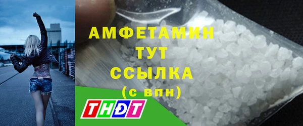 мдпв Горнозаводск