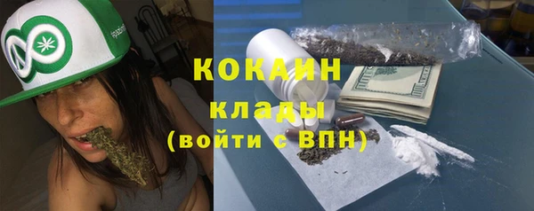 мдпв Горнозаводск