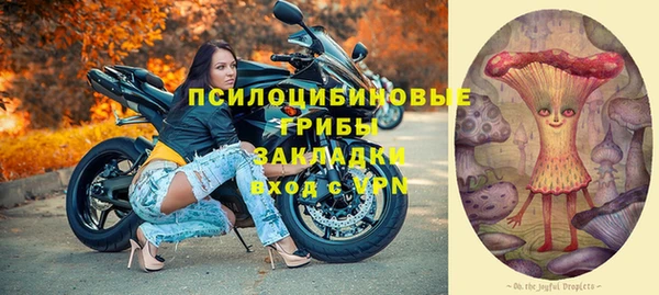 прущий лед Горняк