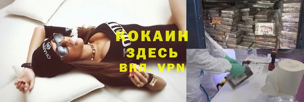 прущий лед Горняк