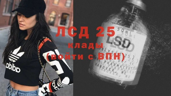 мдпв Горнозаводск