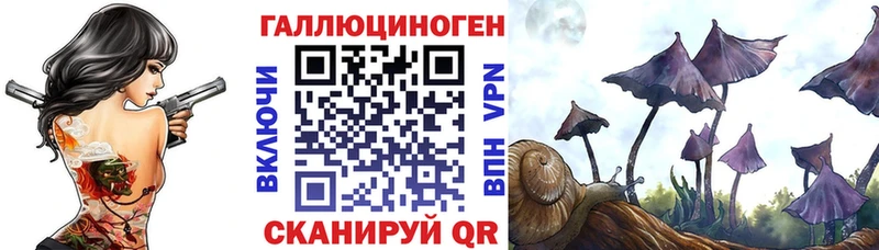 Галлюциногенные грибы MAGIC MUSHROOMS mega как войти Певек закладки